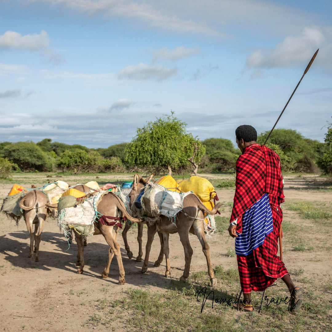 7-daagse Tarangire – Serengeti – Ngorongoro Safari