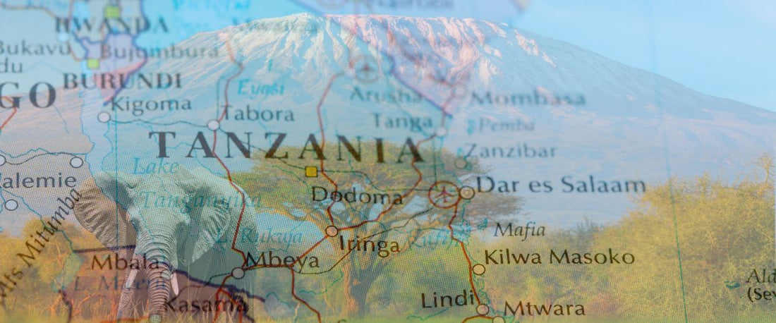 What You Really Need to Know Before Traveling to Tanzania for the First Time
