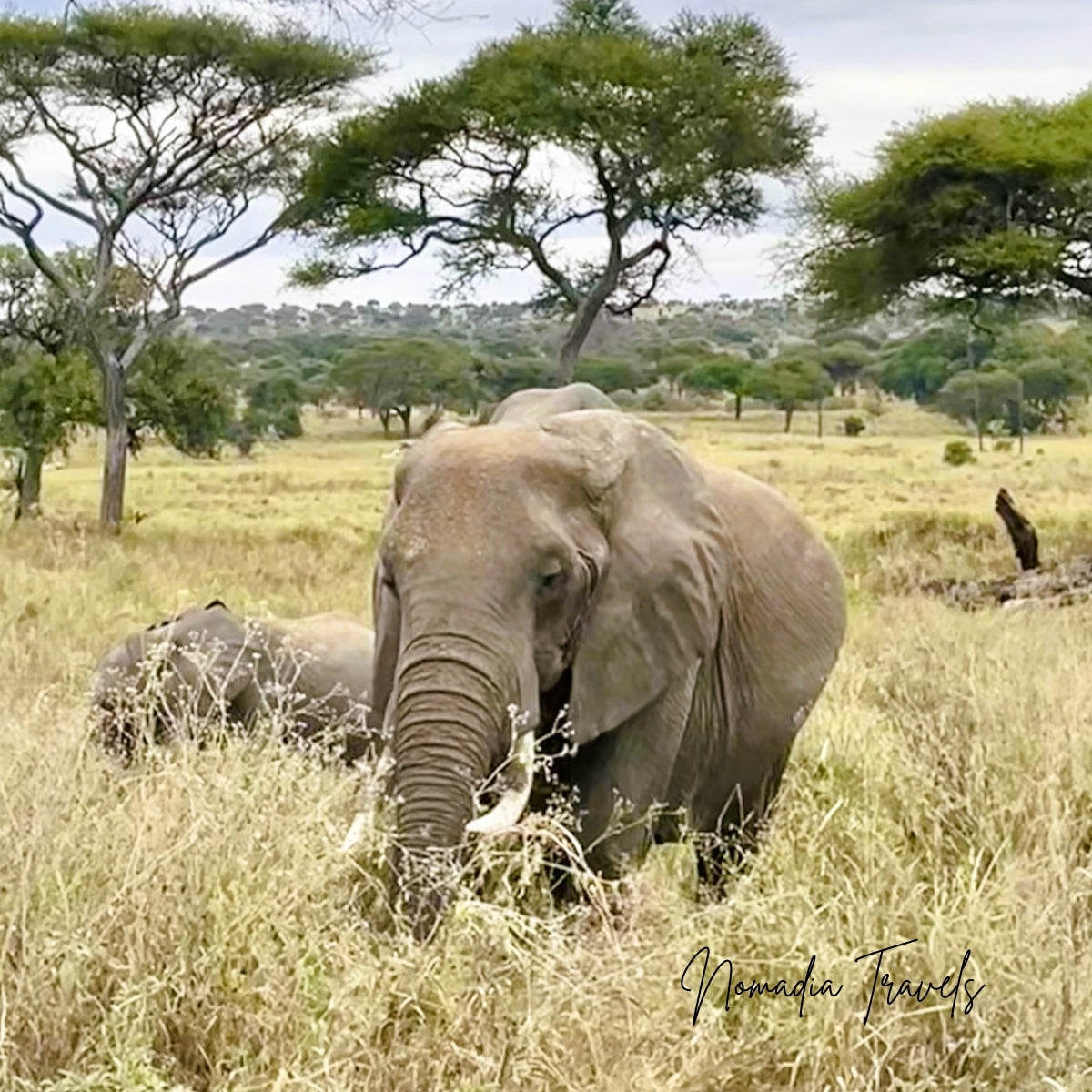 3-daagse Serengeti & Ngorongoro Safari