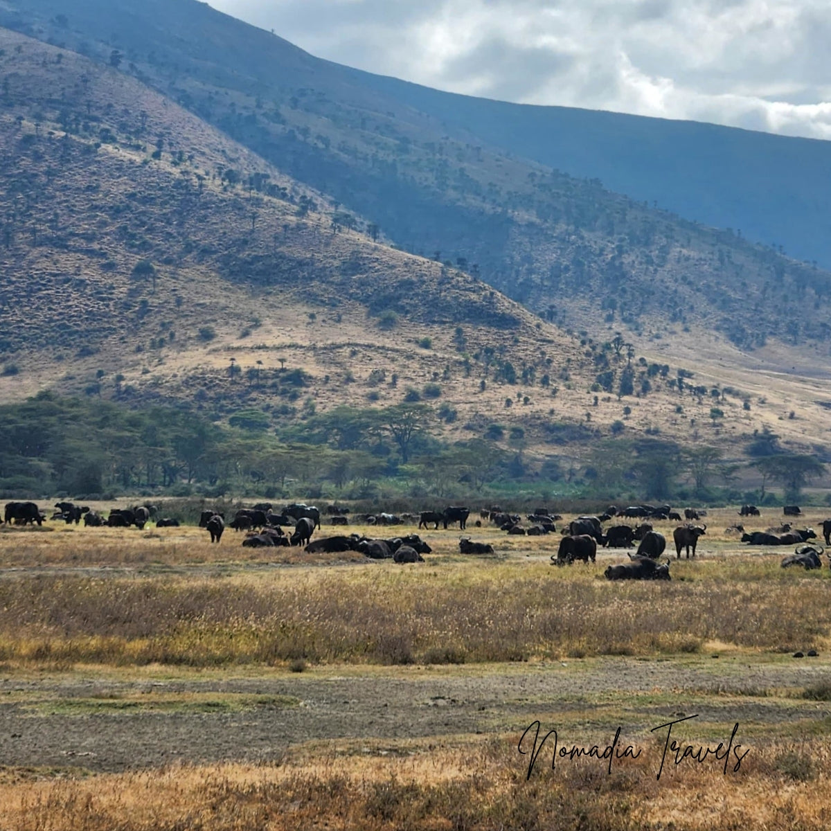 3-daagse Serengeti & Ngorongoro Safari