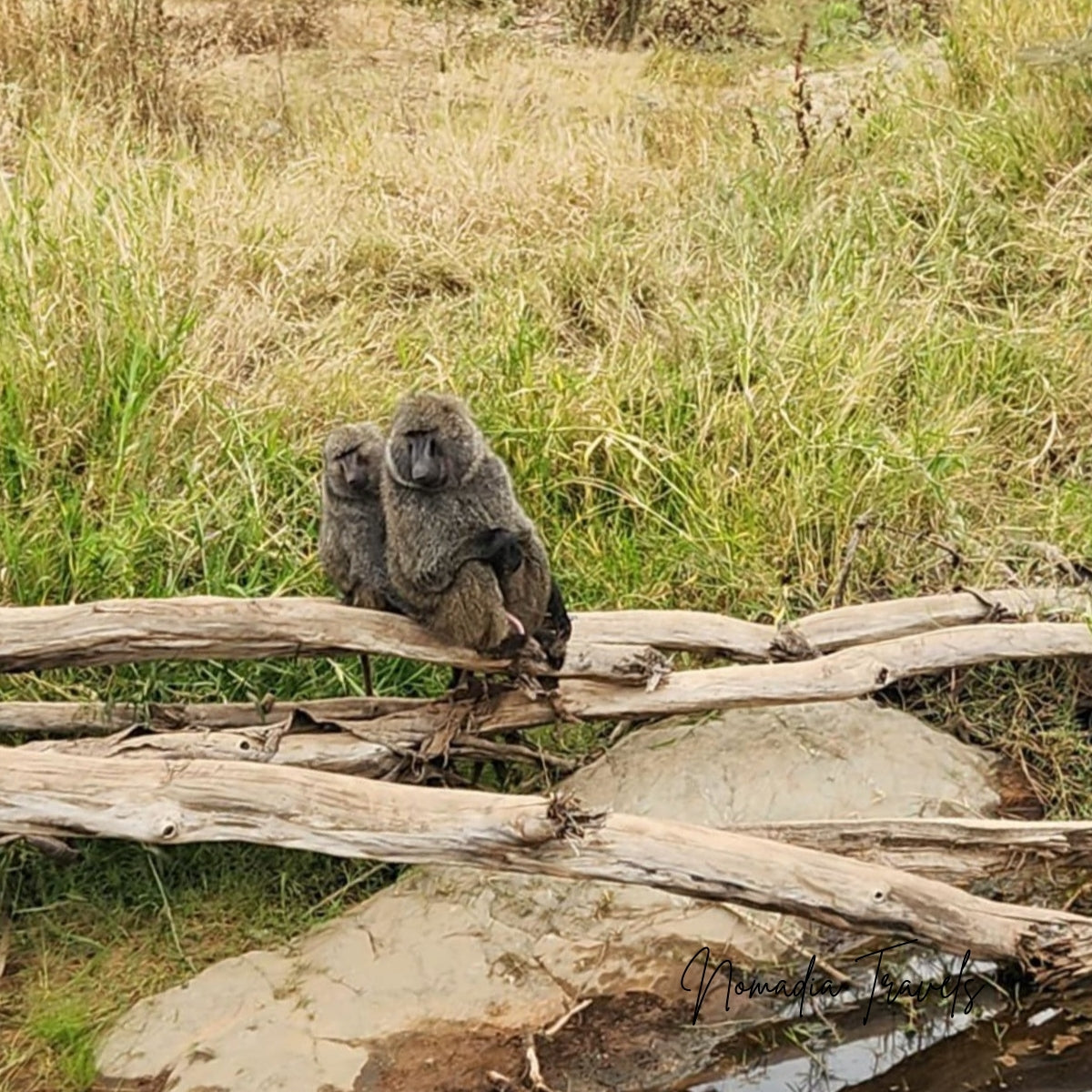3-daagse Serengeti & Ngorongoro Safari