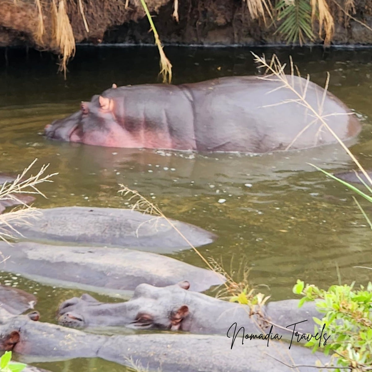 3-daagse Serengeti & Ngorongoro Safari