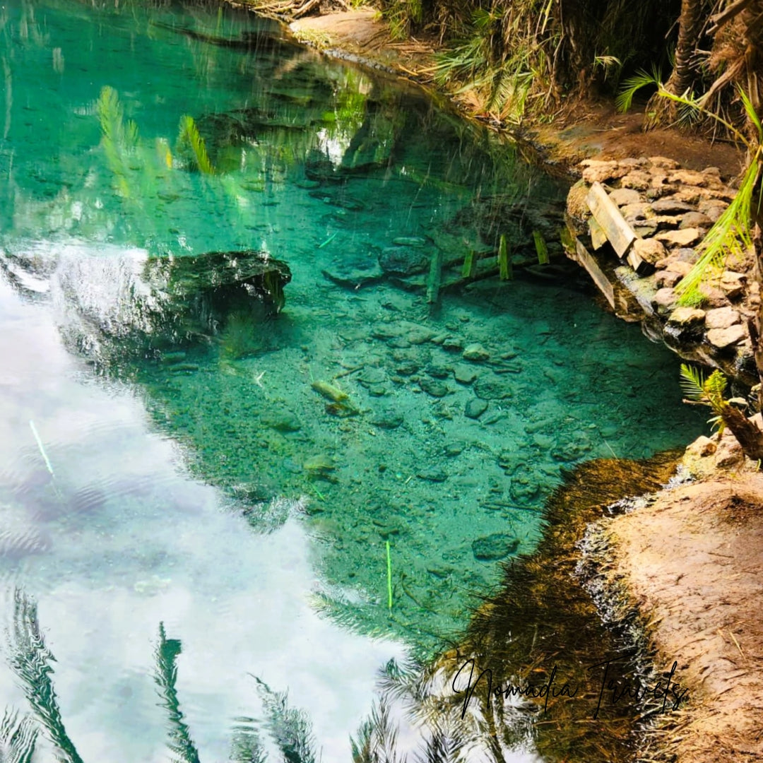 9-daagse Big Five Safari & Hot Springs Experience