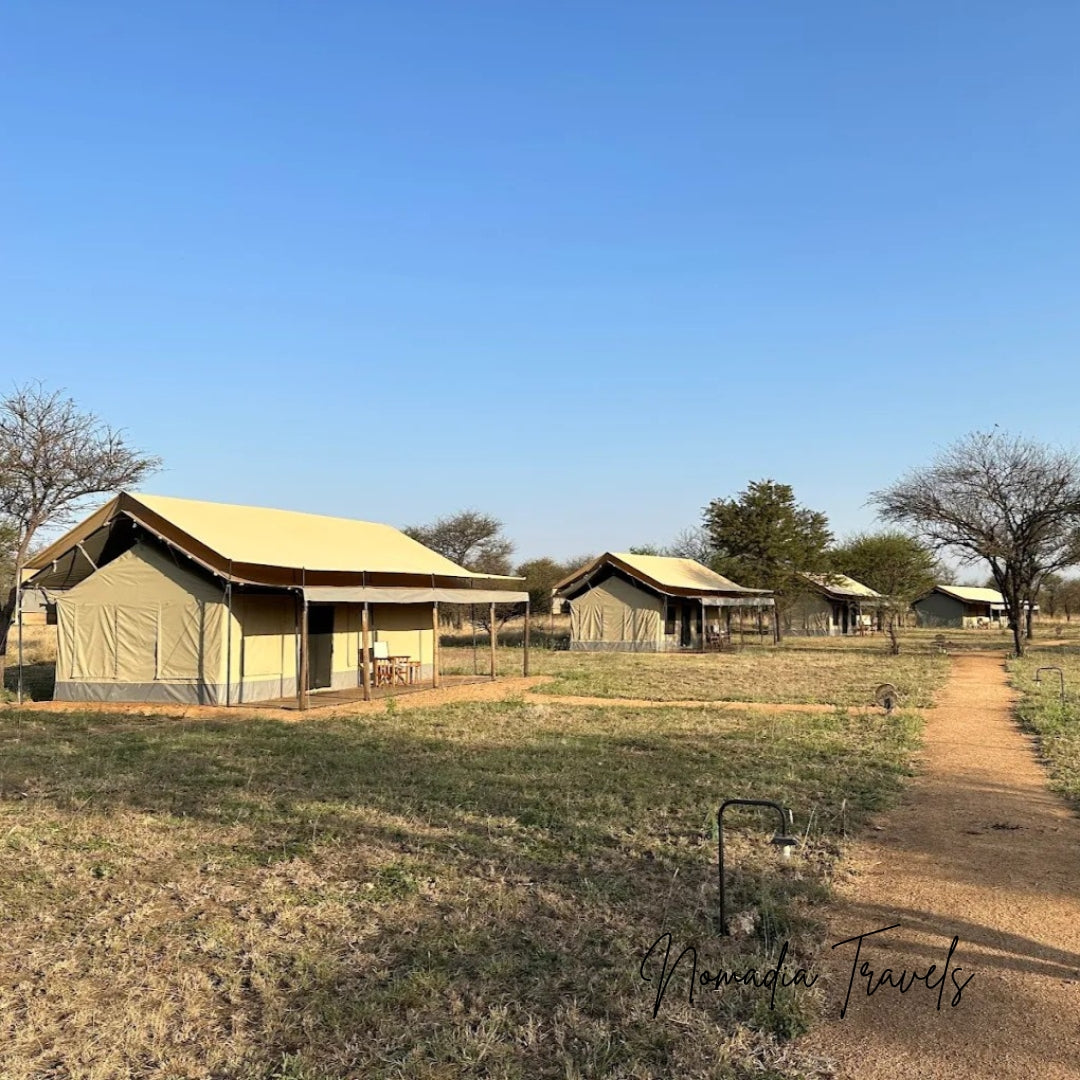 7-daagse Tarangire – Serengeti – Ngorongoro Safari