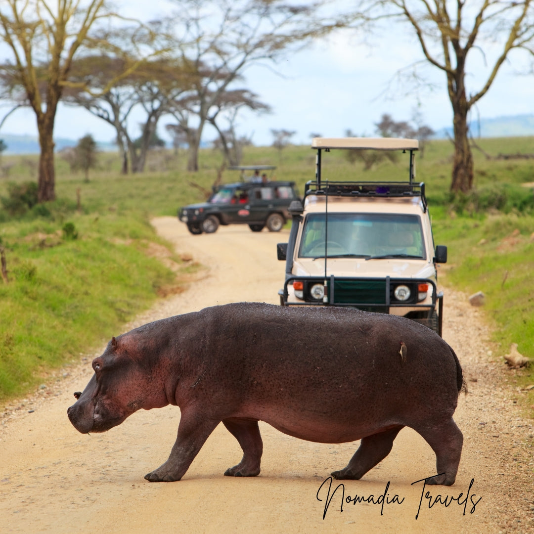 7-daagse Tarangire – Serengeti – Ngorongoro Safari